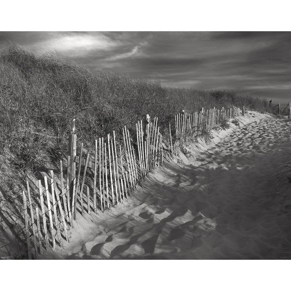 ArtisticPhoto Other - Dune and Fence 11 x 14 print